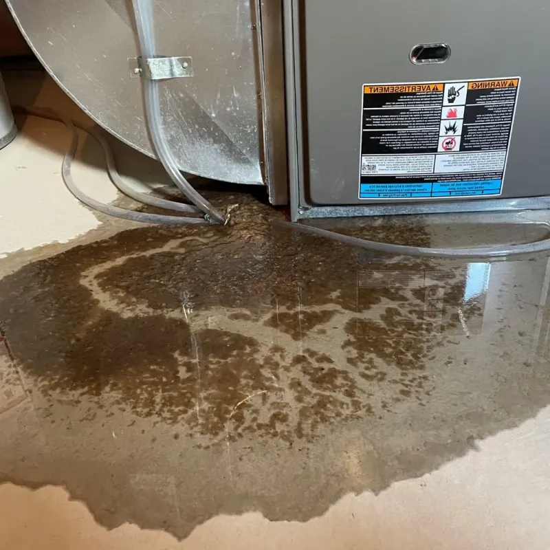 Pipe Burst and Leak Restoration in Gatesville, TX