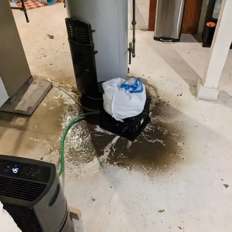 Sewage Backup Cleanup Service in Gatesville, TX